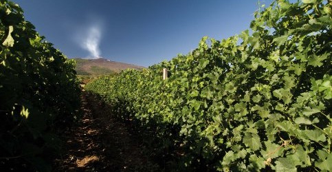 Verso l’Expo 2015. Il vino Born in Sicily al Vittoriano a Roma