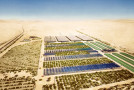 Coltivare in zone aride con il Sustainable Desert Farming