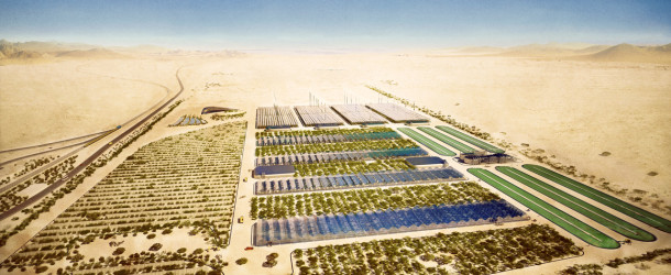 Coltivare in zone aride con il Sustainable Desert Farming
